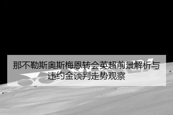 那不勒斯奥斯梅恩转会英超前景解析与违约金谈判走势观察
